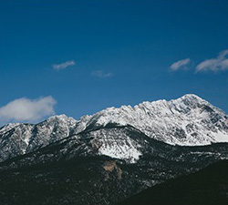 网站攻击工具手机版