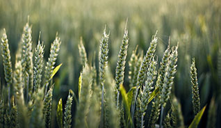 【中文版】本地化的DDOS压力测试网页端